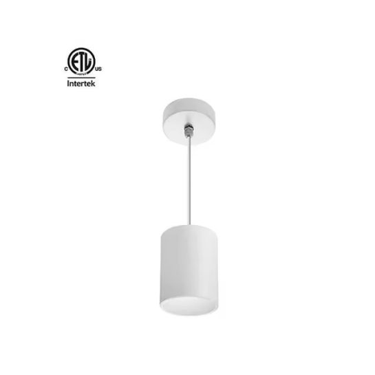 Cylinder pendant downlight