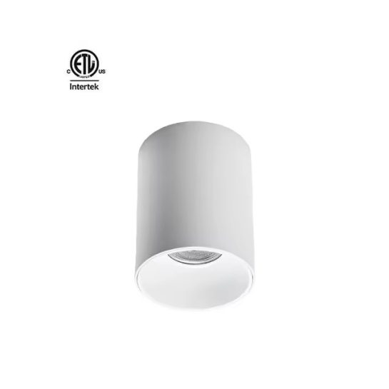 Cylinder pendant downlight IP65 Series wide power range surface mounted 15W-90W led COB downlight